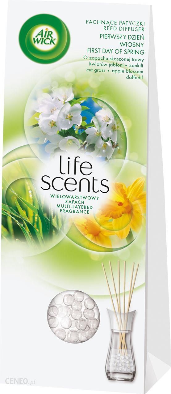 i-air-wick-pachnace-patyczki-pierwszy-dzien-wiosny-30-ml-5900627062625