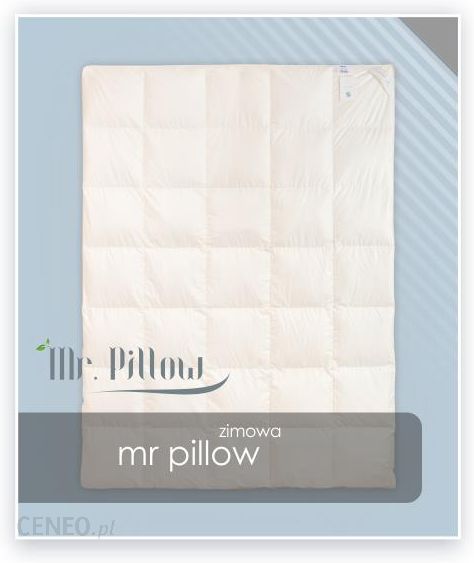 i-amz-koldra-mr-pillow-puch-200x220