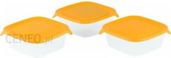 i-curver-komplet-pojemnikow-fresh-go-3x0-8l-zolty-transparentny-182218