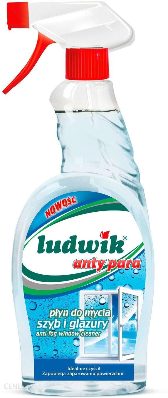 i-inco-veritas-ludwik-anty-para-plyn-do-mycia-szyb-i-glazury-750ml-54320