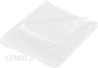 i-nolan-scierka-tetrowa-bialy