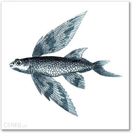 i-obraz-g97355-40x40cm