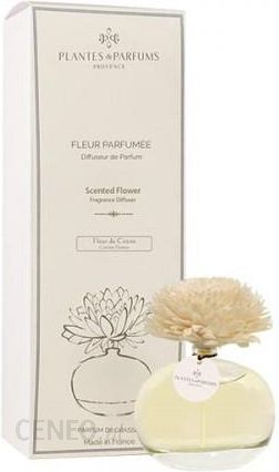 i-plantes-parfums-provence-dyfuzor-zapachowy-z-kwiatkiem-cotton-flower-kwiat-bawelny-100ml