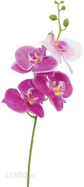 i-storczyk-pojedynczy-jumi-40-cm-329579