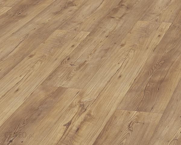 i-swiss-krono-aurum-vision-cedry-libanu-d3344