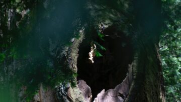 Geodeta Poznań: Klucz do precyzyjnych pomiarów