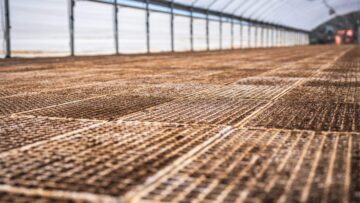 Mała konstrukcja – wielkie możliwości, czyli dlaczego tunel foliowy 3x2 zmienia uprawę w ogrodzie